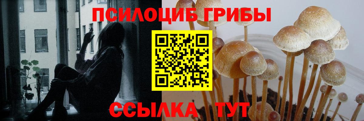 Псилоцибиновые грибы Psilocybine cubensis Джанкой